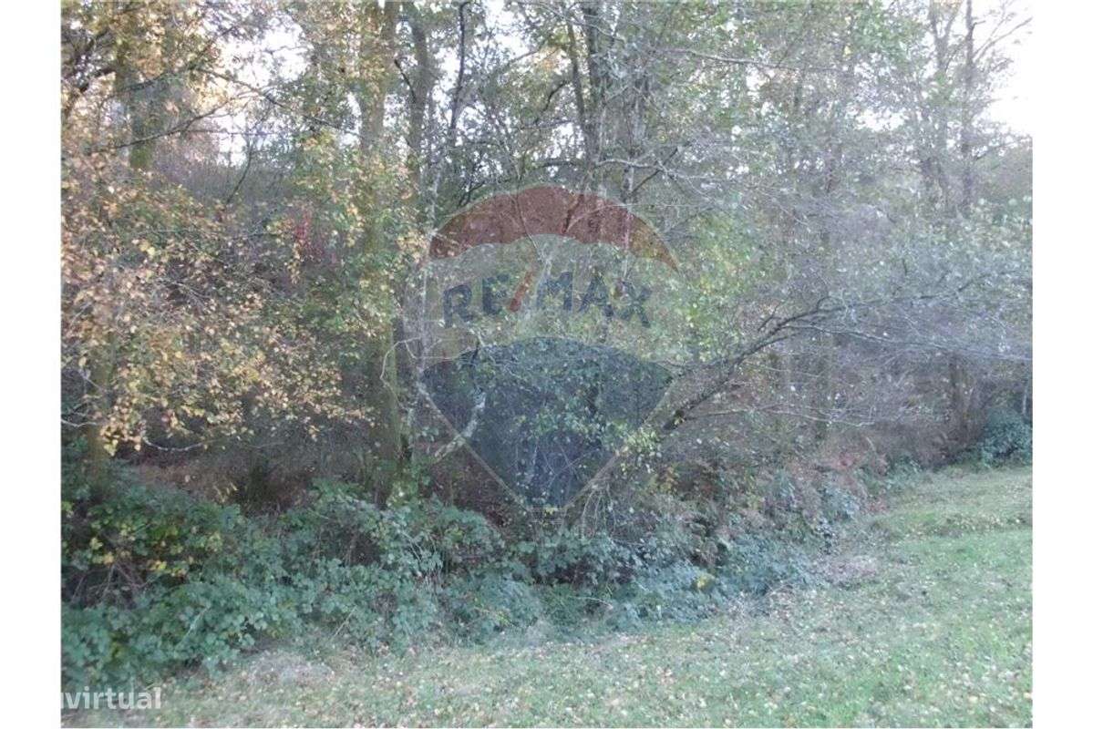 Terreno T0 para venda - Grande imagem: 4/4