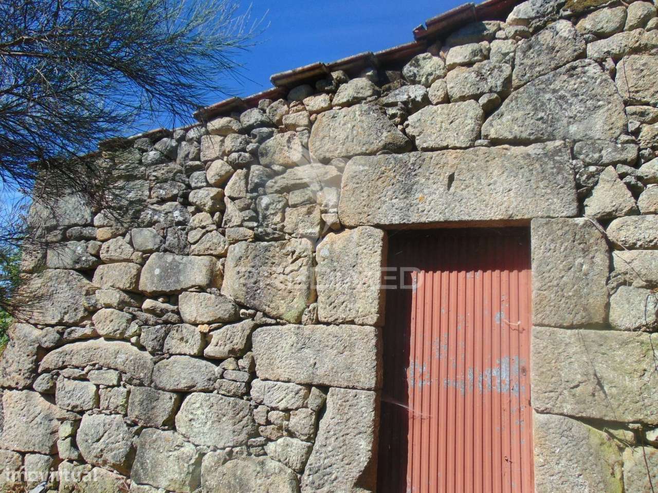 Terreno com 2 Ha junto à E322 em Alijó / Vila Real - Grande imagem: 3/25