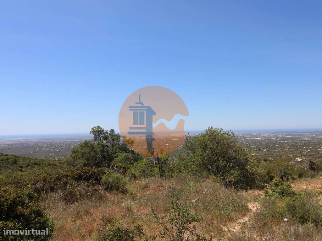 Terreno Rústico - Grande imagem: 2/14