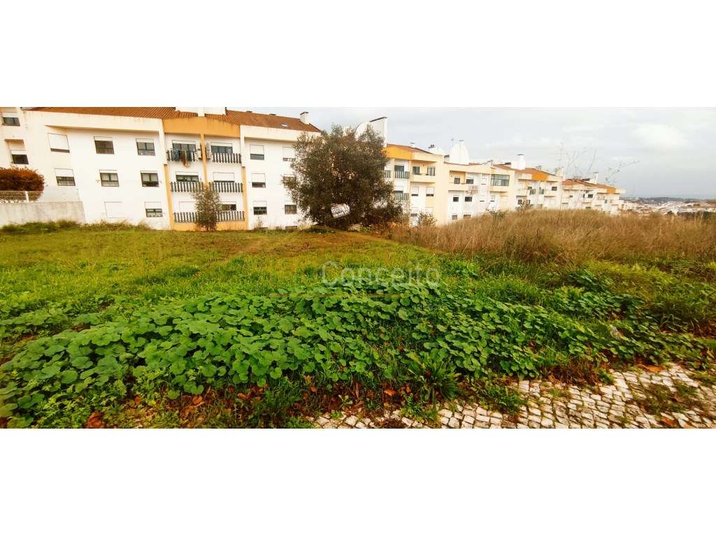 Lote para construção de moradia | Torres Novas - Grande imagem: 3/7