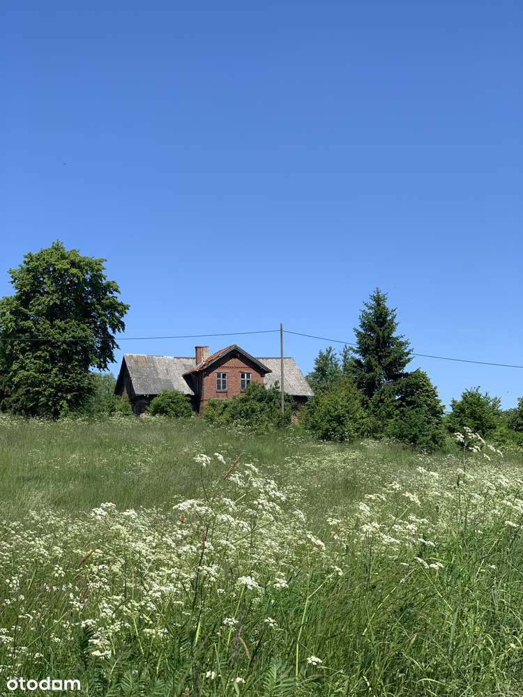 Wyjątkowy ceglany dom na wzgórzu w Ogrodnikach pod Elblągiem