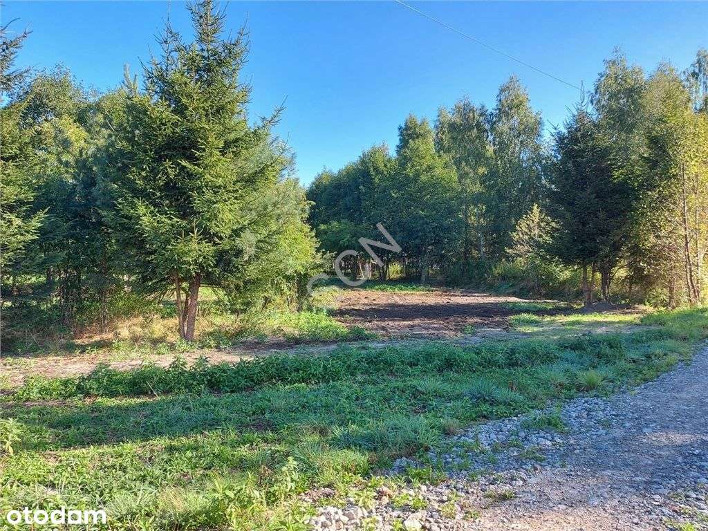 Działka W Sąsiedztwie Lasu - Pełny obrazek: 5/6