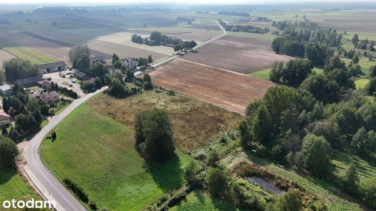Działka, 10 726 m², Grodzisk - Pełny obrazek: 5/9