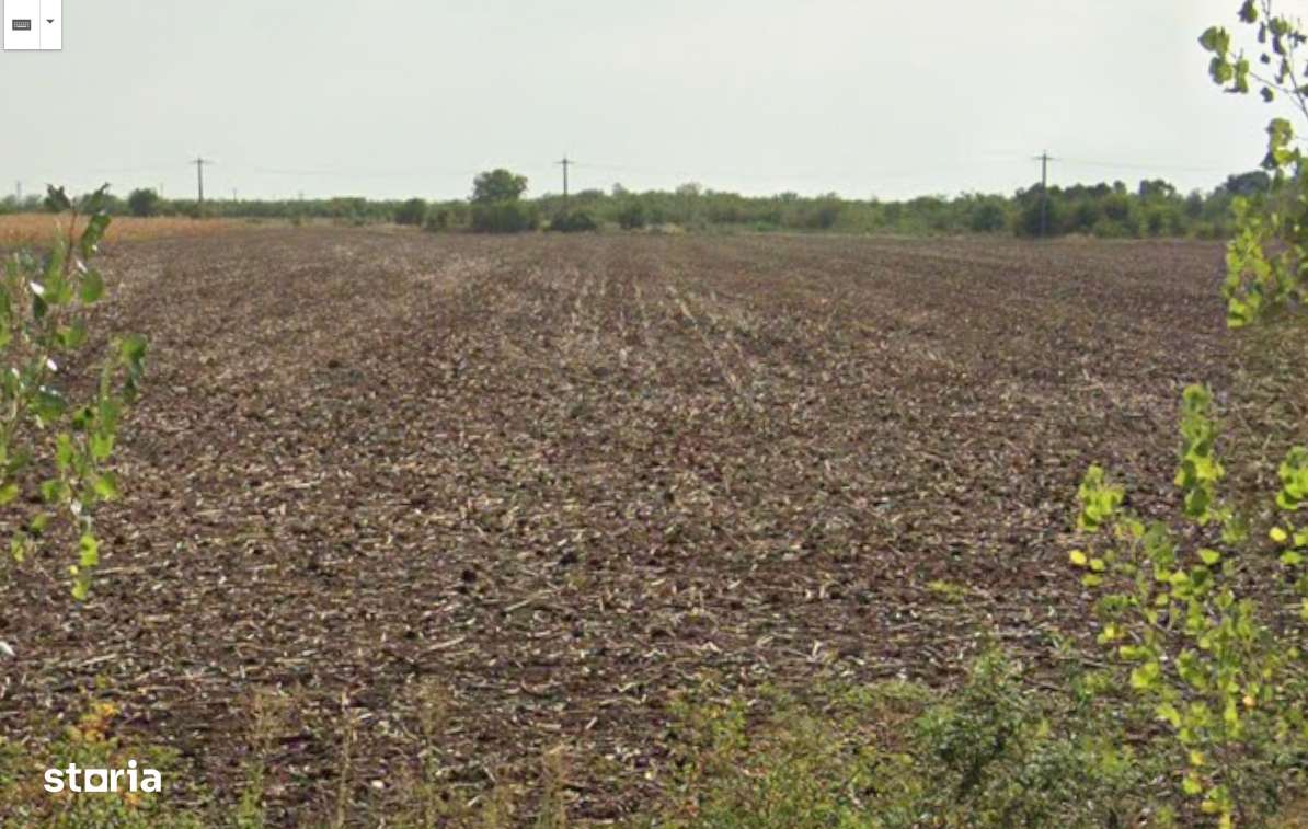 Teren 7400 mp Corbii Mari, La 5 minute de A1 Intra + Extra Proprietar - Imagine principală: 4/5