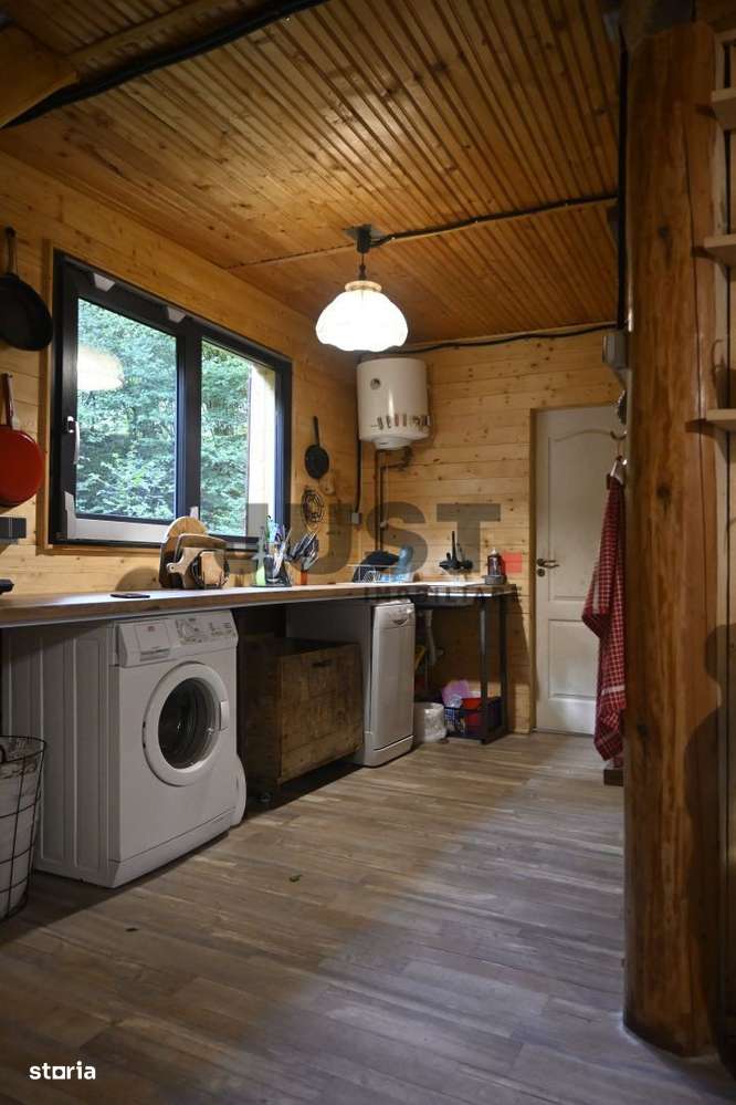 Problema e orașul. Soluția: un pârâu în curtea ta. Rasca/Valea Fericir-5