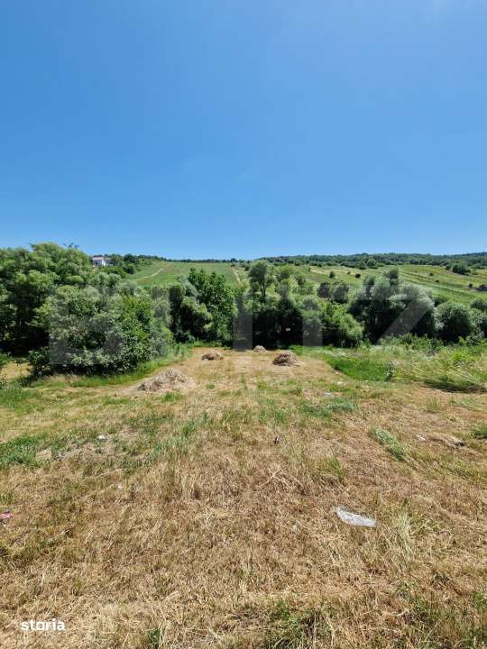 Teren intravilan,  ideal constructie casa, 12 ari in zona Valea Ghinzi - Imagine principală: 4/5