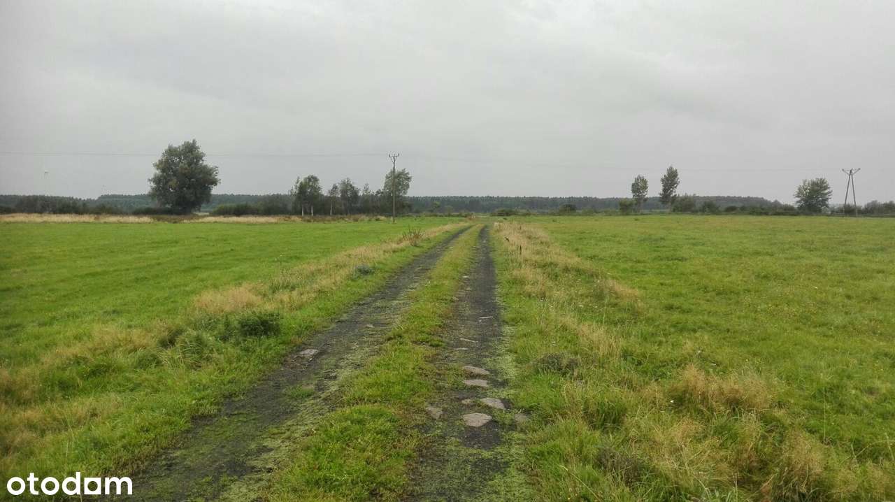 Darłowo/ Krupy dojazd asfaltowy , dojazd do morza, Darłowa 10 minut-6