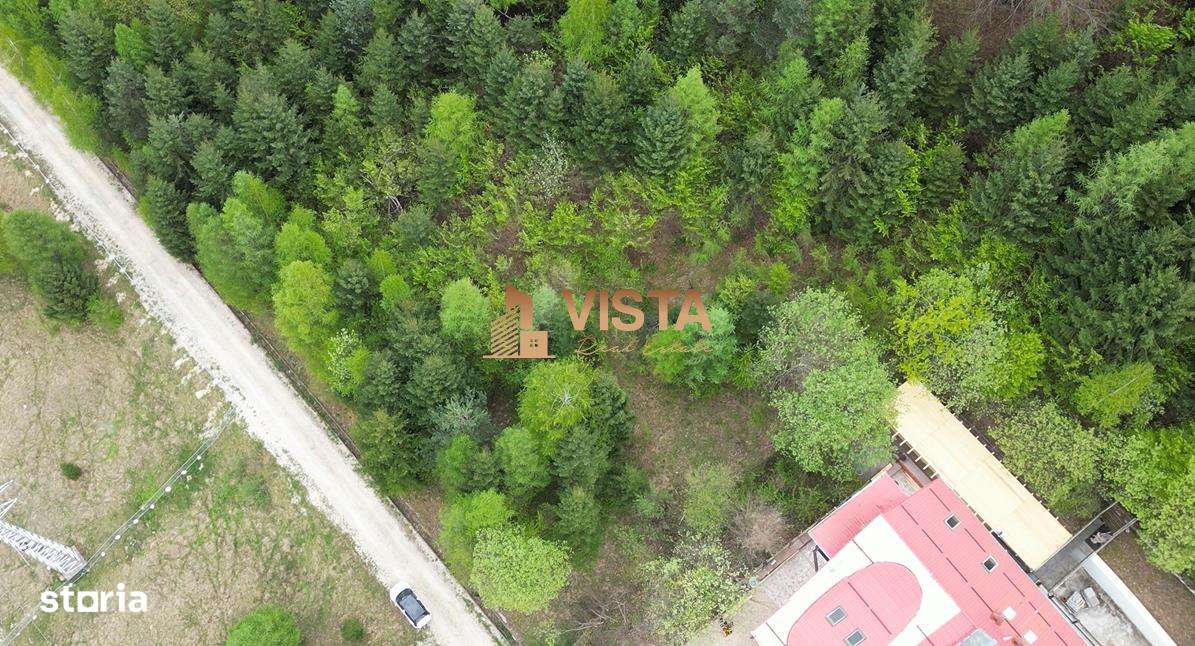 Teren 6500mp Dambu Morii - Bunloc, Brasov - Imagine principală: 2/7