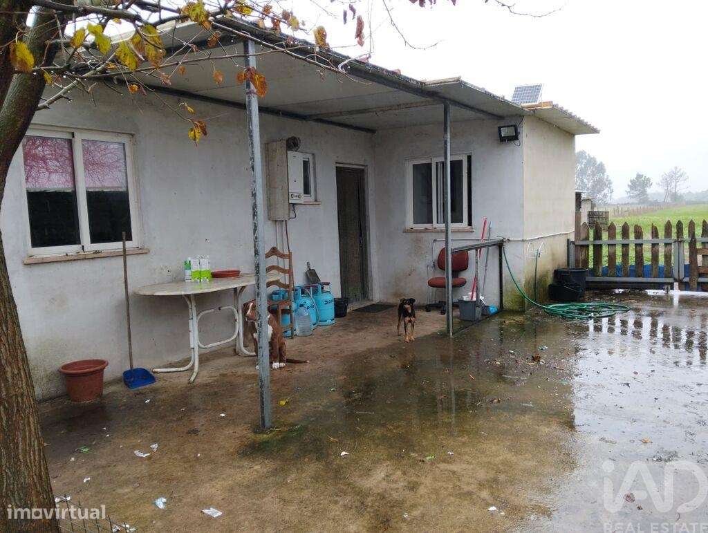 Terreno Agrícola em Almeirim - Grande imagem: 3/17