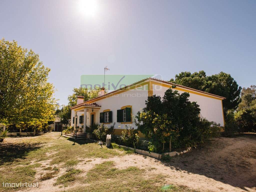Moradia Térrea T4 em Quinta de 11.250 m² com Árvores de Fruto. Em S...-29