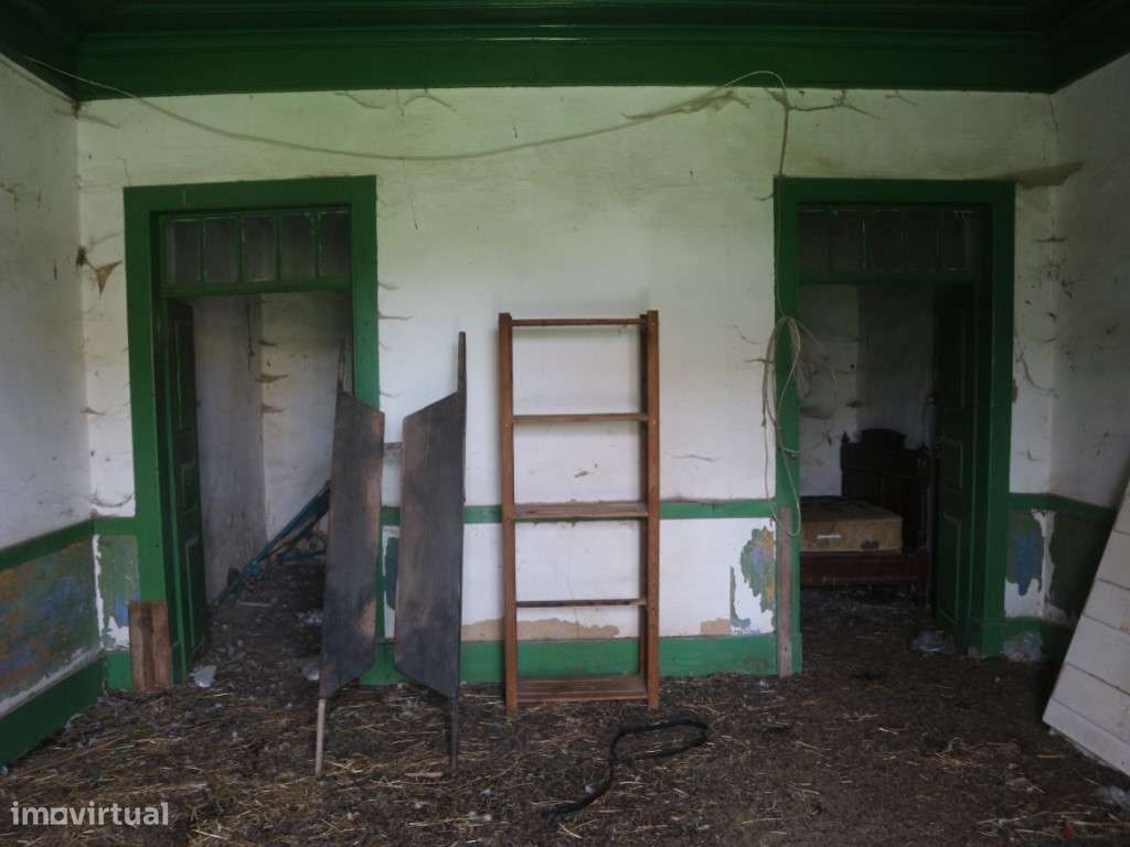 DOIS ARTIGOS - MURTOSA - Grande imagem: 5/12