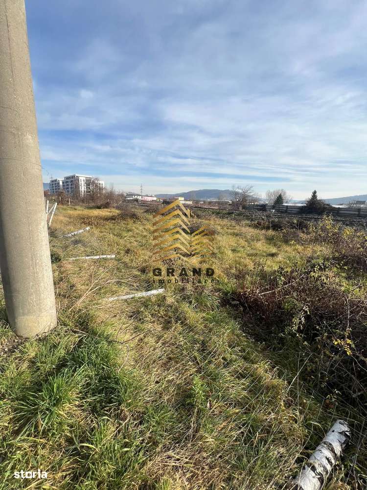 TEREN DE VANZARE PE BRADULUI| 13 ARII DE TEREN| INTRAVILAN - Imagine principală: 2/10