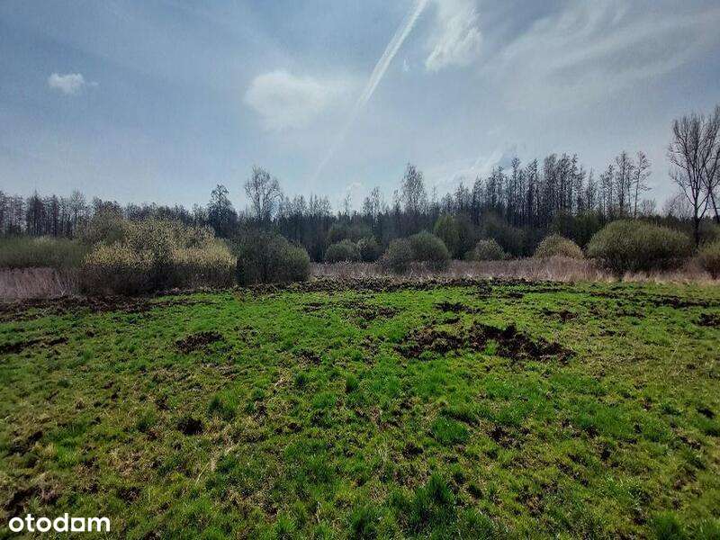 Udział wynoszący 1/2 w prawie własności nieruchomości - Pełny obrazek: 3/8