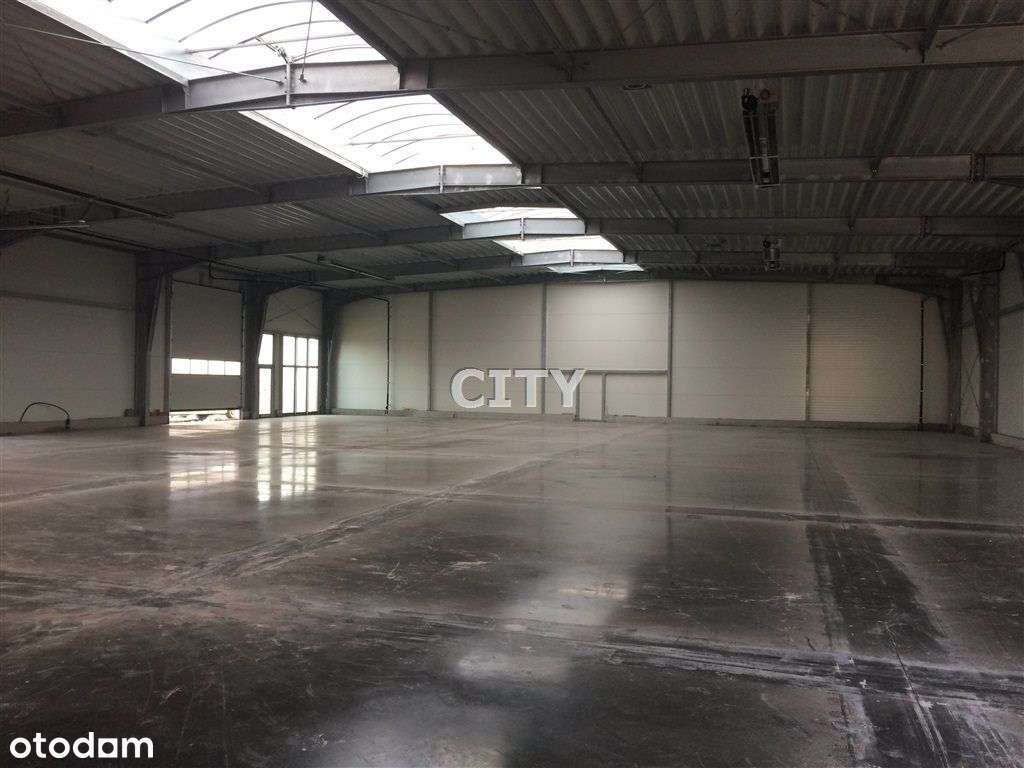 Hala z biurowcem - Pełny obrazek: 4/5