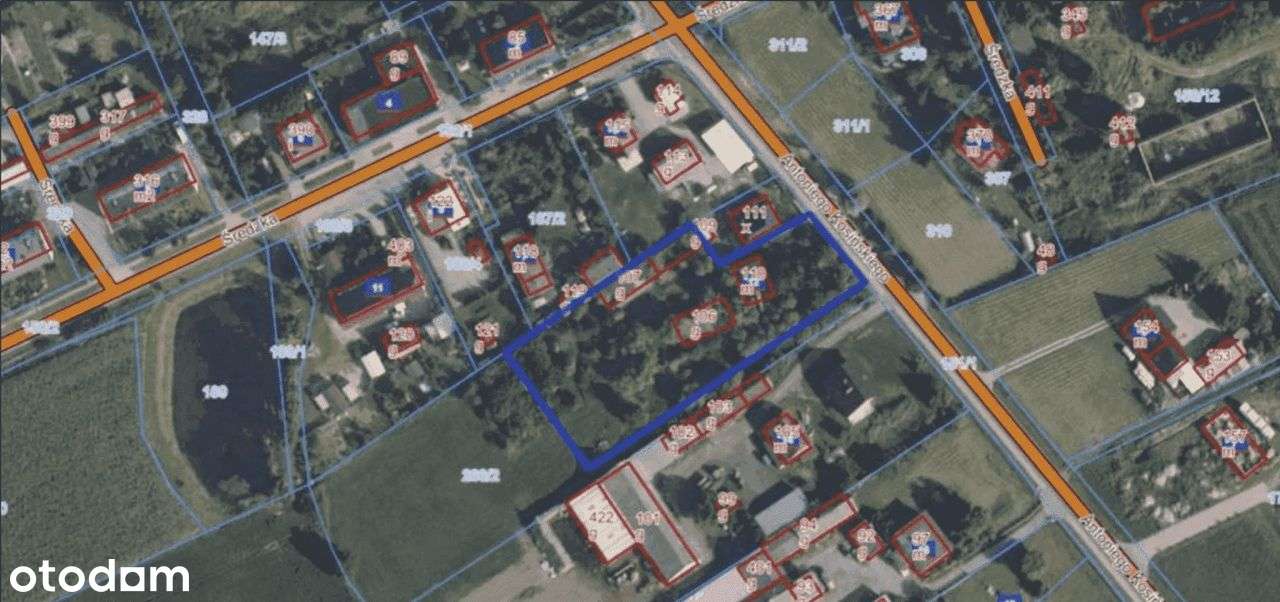 Duża Działka w Targowej Górce | 70 zł/m2 - Pełny obrazek: 4/11