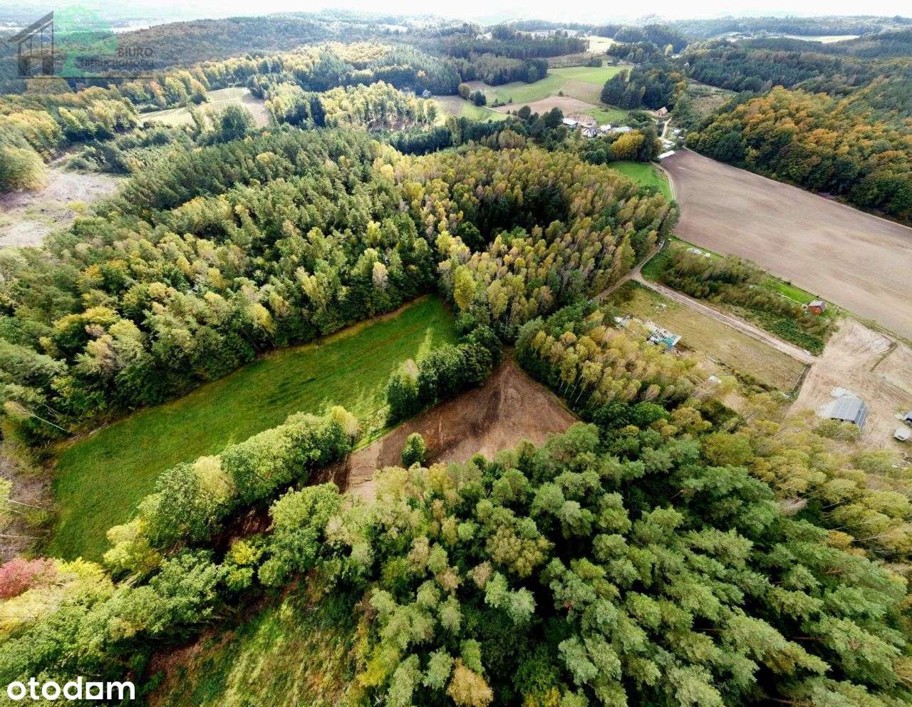 Duża działka siedliskowa 4600 m2 Strzebielino Wyb.-5