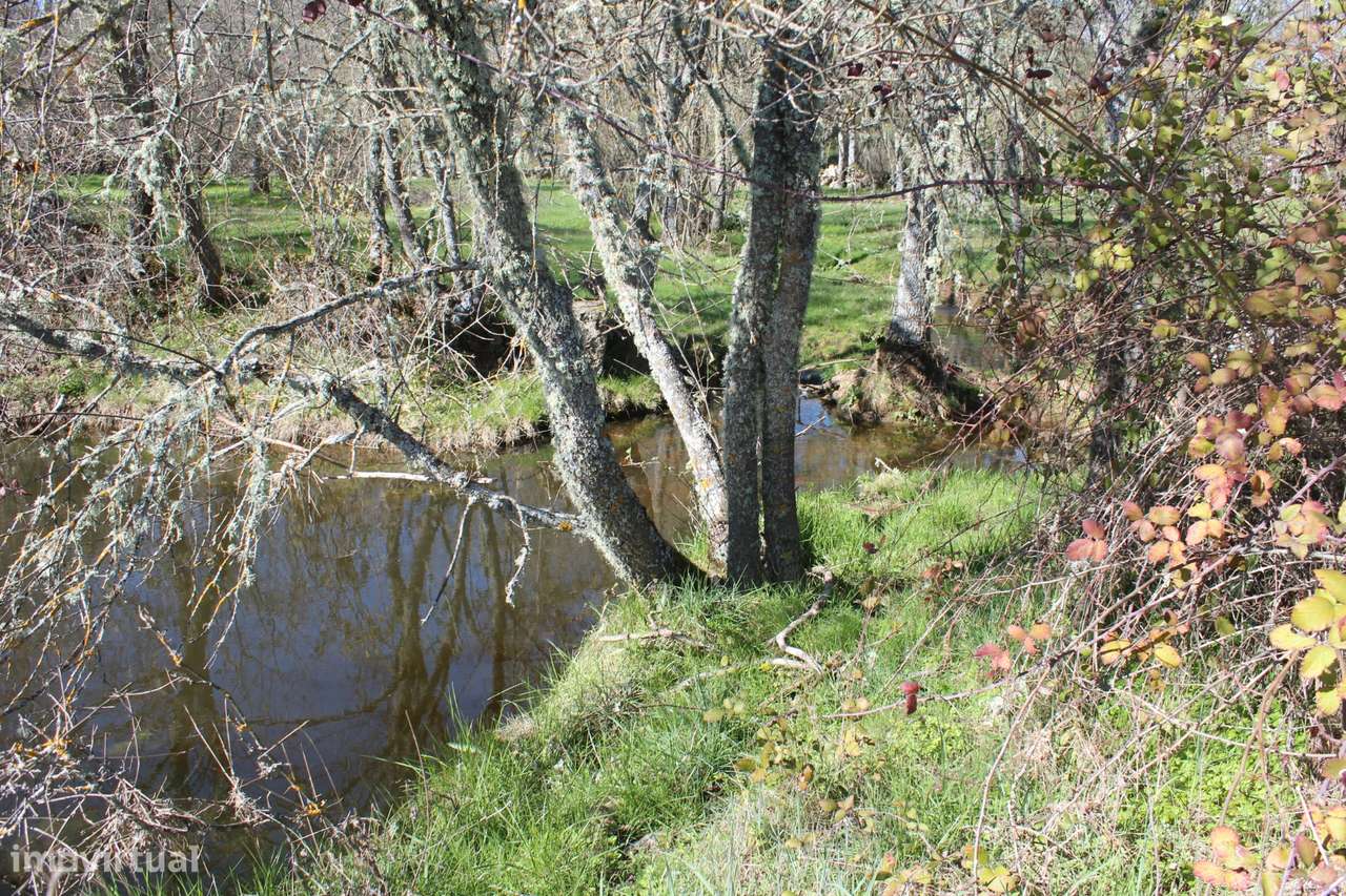 Terreno rústico, Miranda do Douro - Grande imagem: 5/11