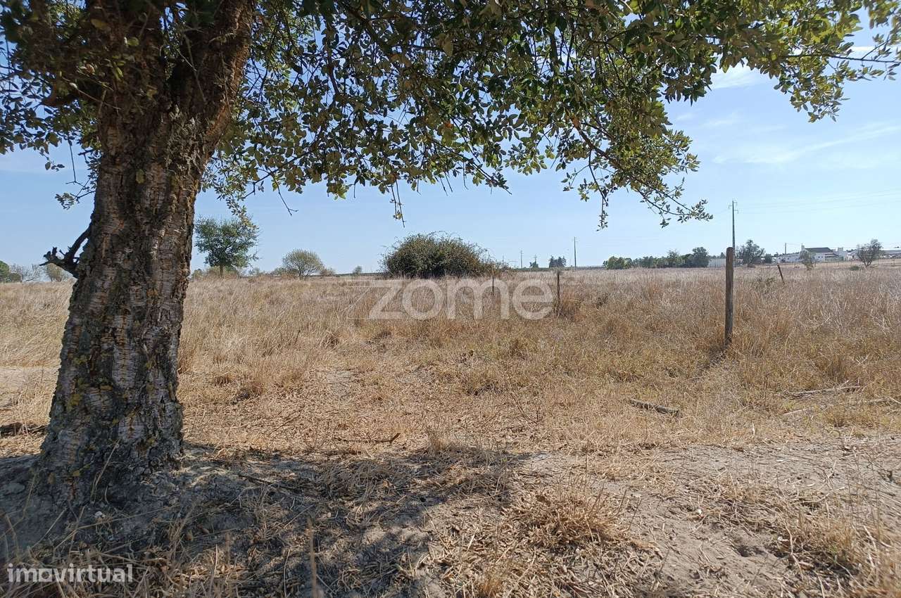 Terreno Urbanizável com 7,5 Hectares – Foros do Trapo, Poceirão - Grande imagem: 5/37