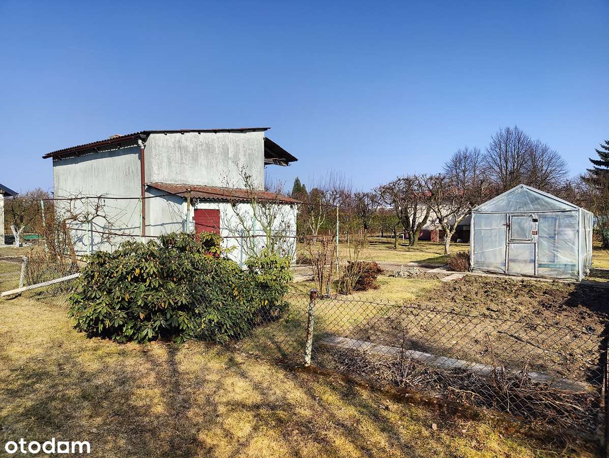 Sprzedam działkę z altaną na ROD Wyspiańskiego w Koninie-8