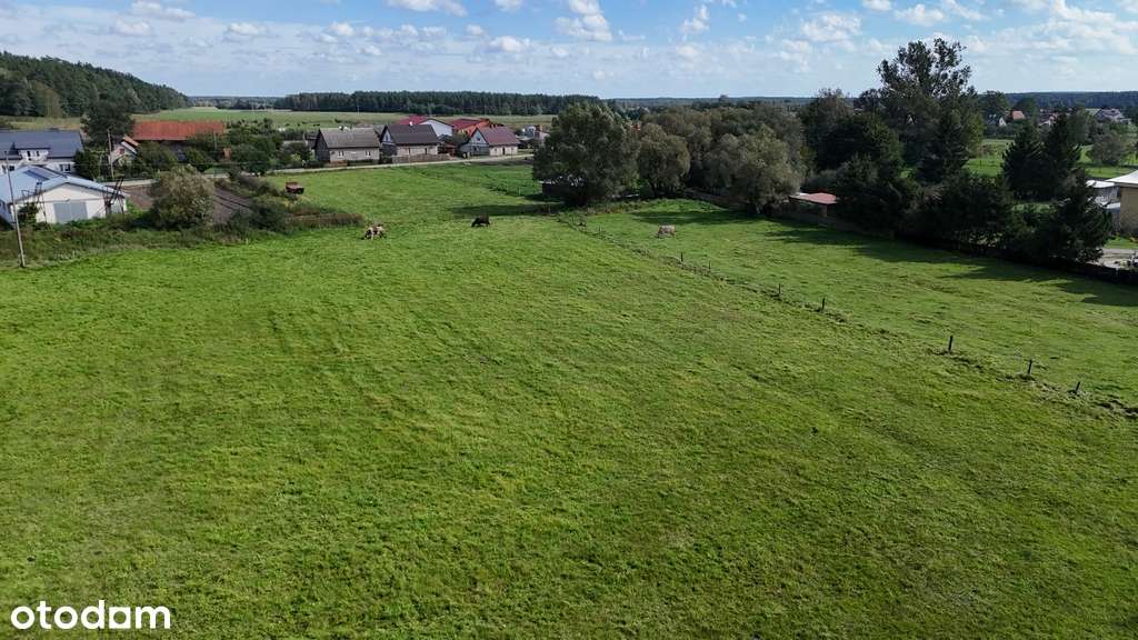 JAGARZEWO, dz.97, 3600m2, LASY, gm.Janowo - Pełny obrazek: 4/4