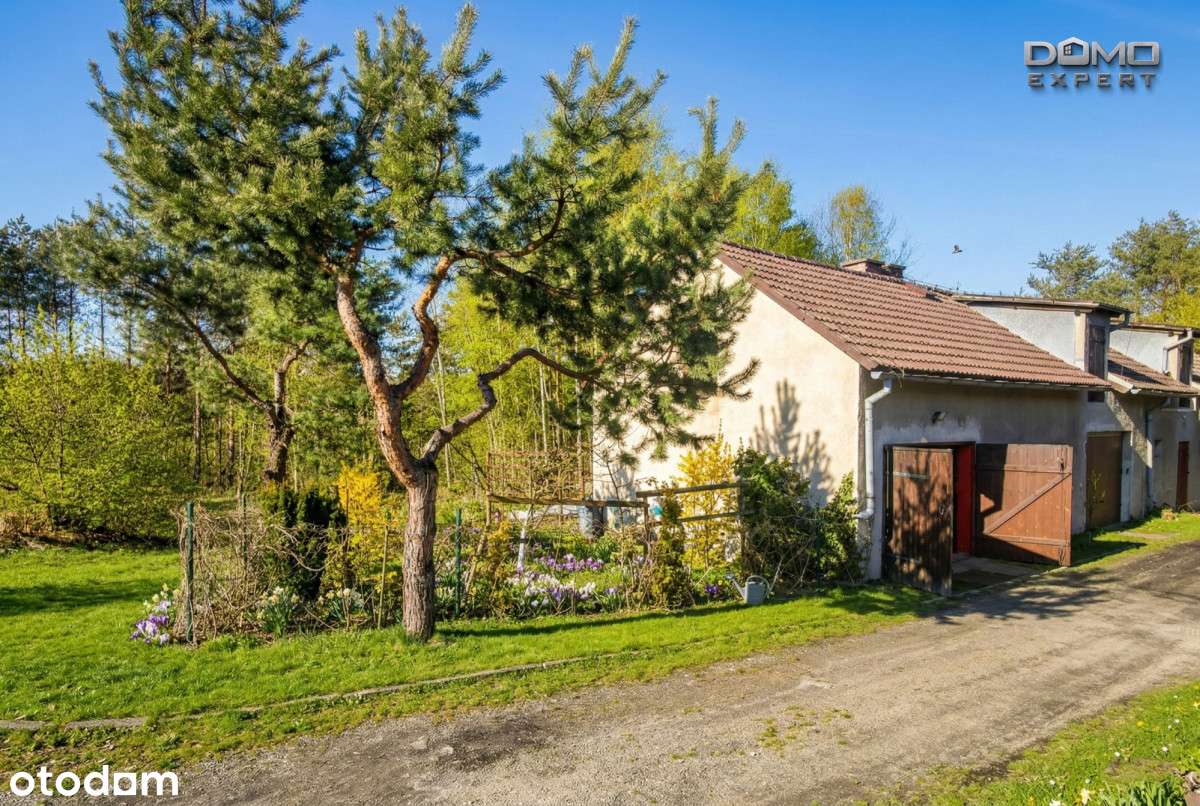 Dobra -Mieszkanie 3 pokojowe z ogródkiem i garażem-11