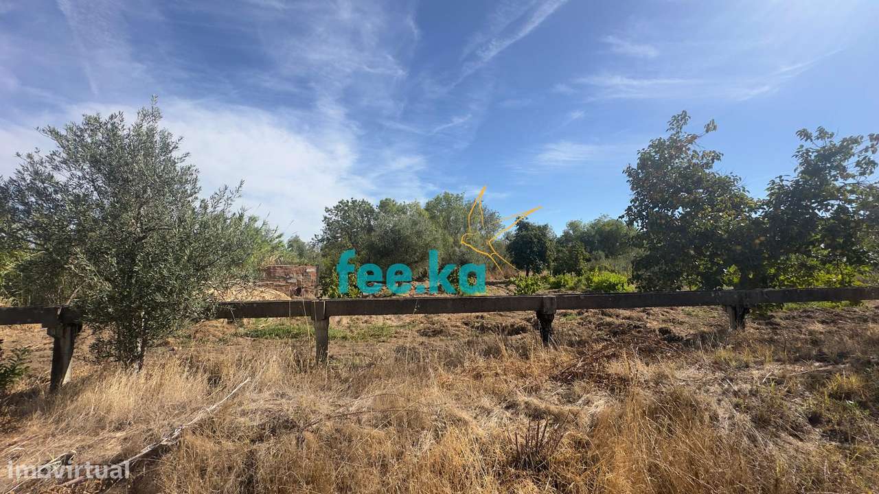 Terreno em Ladoeiro-44