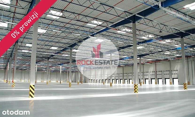 Magazyn wynajem Koninko 1708 m2 - 0% prowizji - Pełny obrazek: 4/5