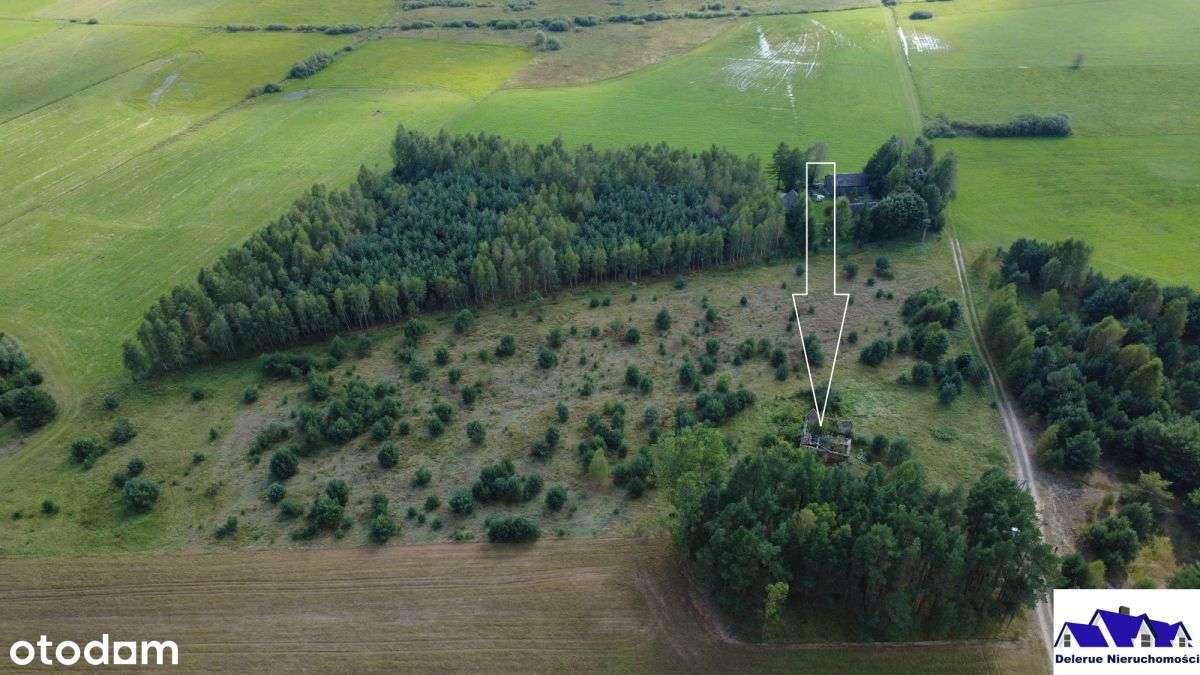 Siedlisko w sąsiedztwie lasu-8