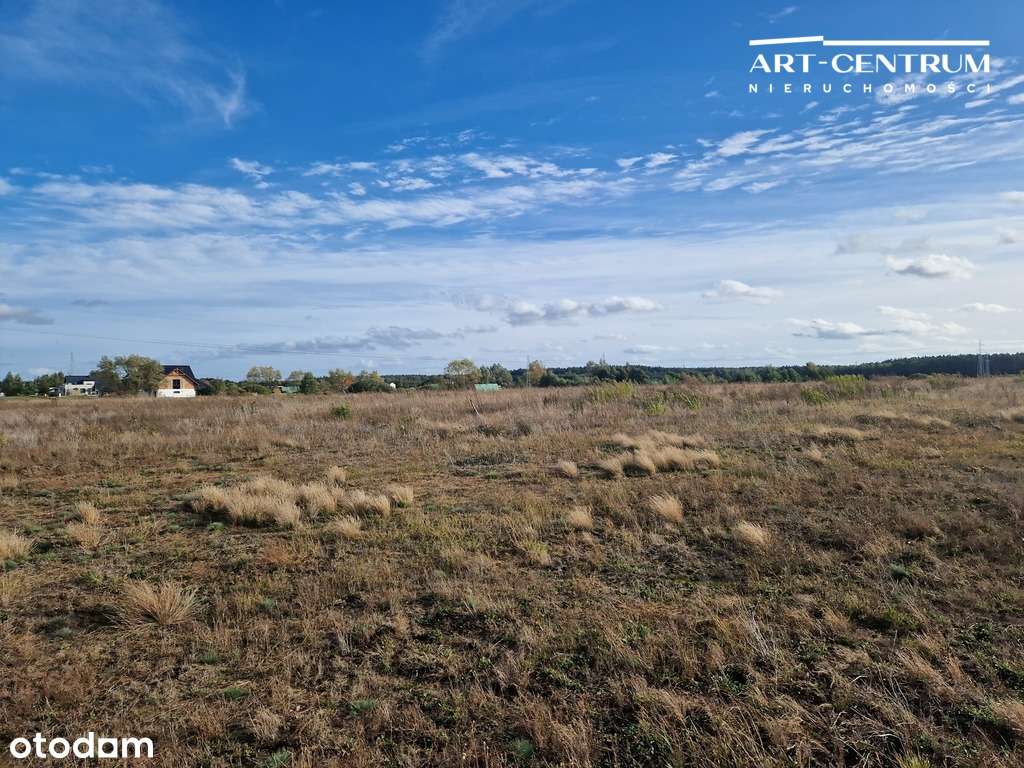 #Działki Osielsko/Wilcze - Pełny obrazek: 4/7