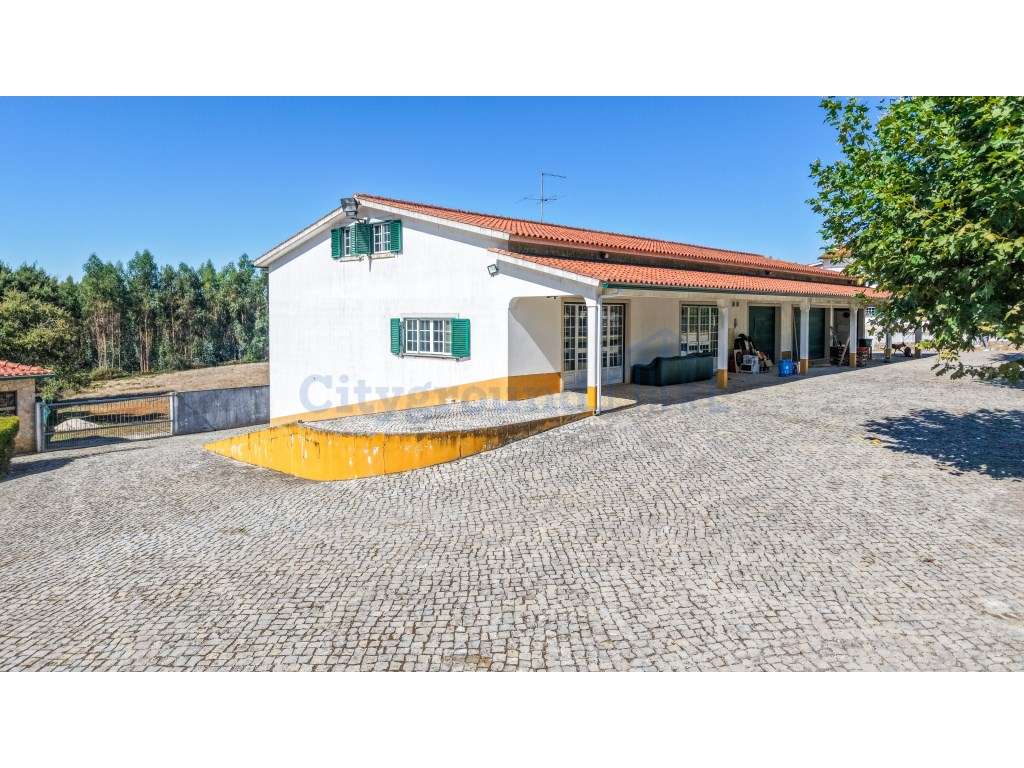 Quinta com 3,14 Hectares e Piscina | Ferreira do Zêzere-55