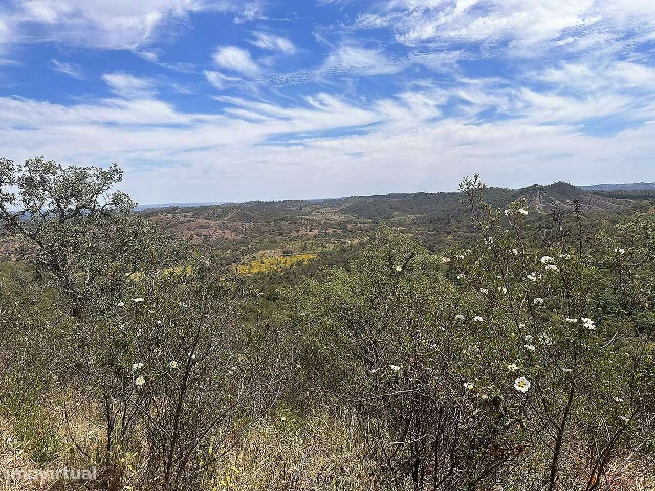 Herdade 4.0 ha, Colos, Odemira - Grande imagem: 3/5