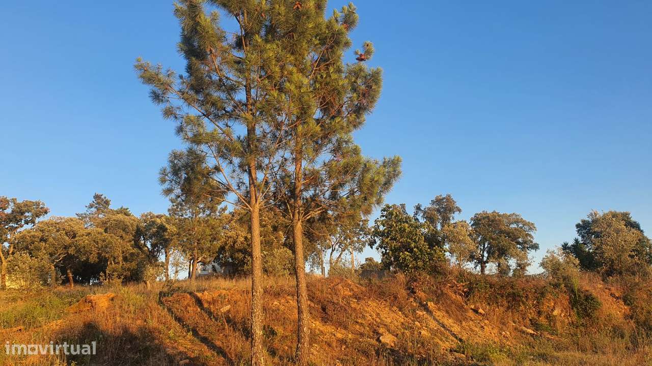 Terreno para Moradia com vista para a Serra D'Aire e Candeeiros-27