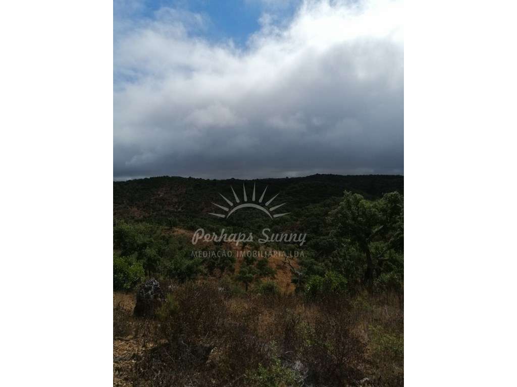 Terreno Rústico - Grande imagem: 4/8