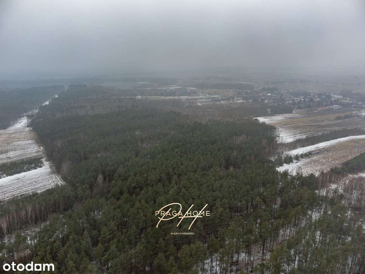 Działka leśna Wyśmierzyce pow. białobrzeski-2