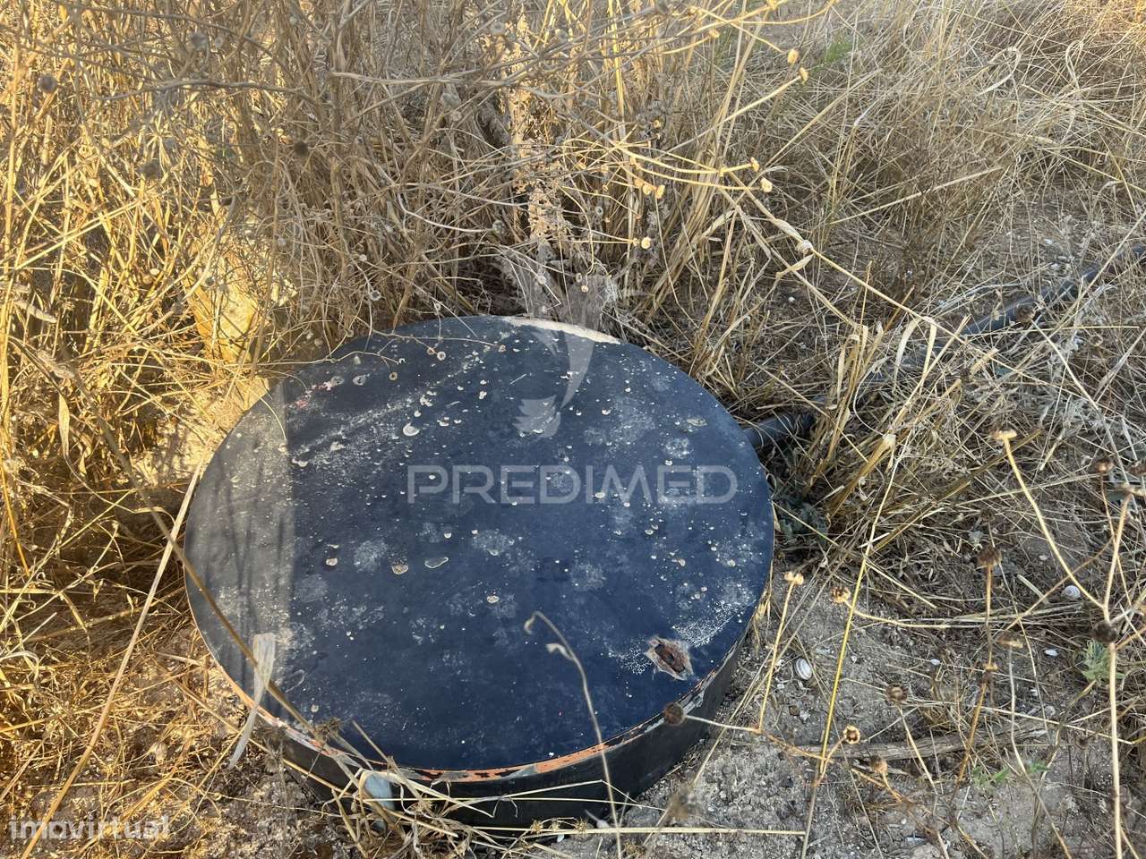 Terreno Rústico em Alfundão – 1,5 ha com Água da EDIA e Oliveiras A... - Grande imagem: 4/17