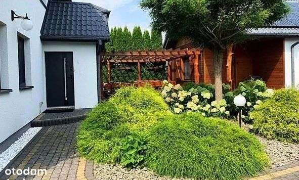 Super Oferta Cena Promocyjna !!!!-6