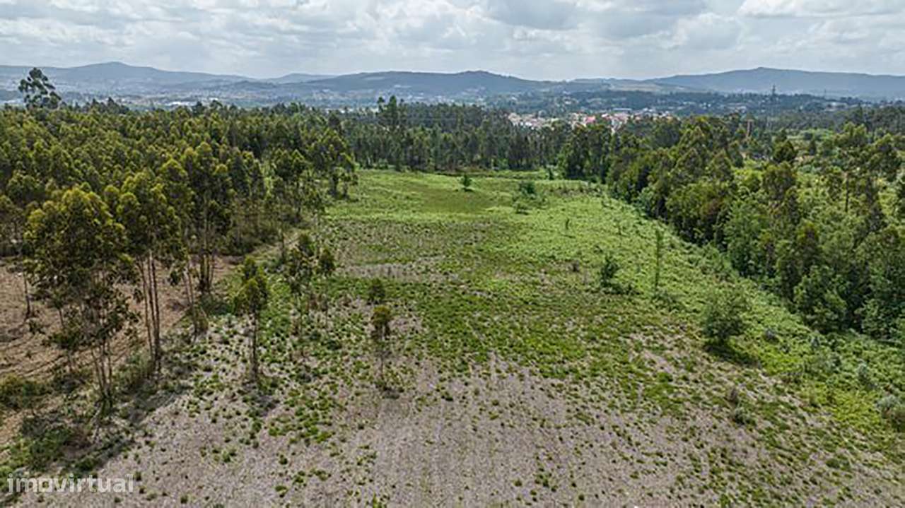 Terreno - Oleiros, Vila Verde-5