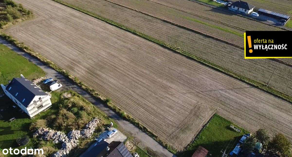 Twoje Miejsce na Ziemi - Książenice czekają - Pełny obrazek: 5/9