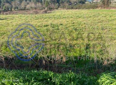 Lote de terreno rústico com ruína para venda com 6694 m2 em Refojos, S - Grande imagem: 3/18