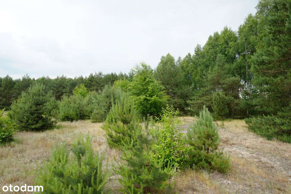 Wólka Smolana, gm. Brochów, 5 działek-3