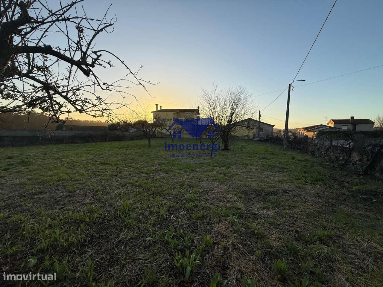 Excelente Terreno para Construção - Árvore - Grande imagem: 4/9