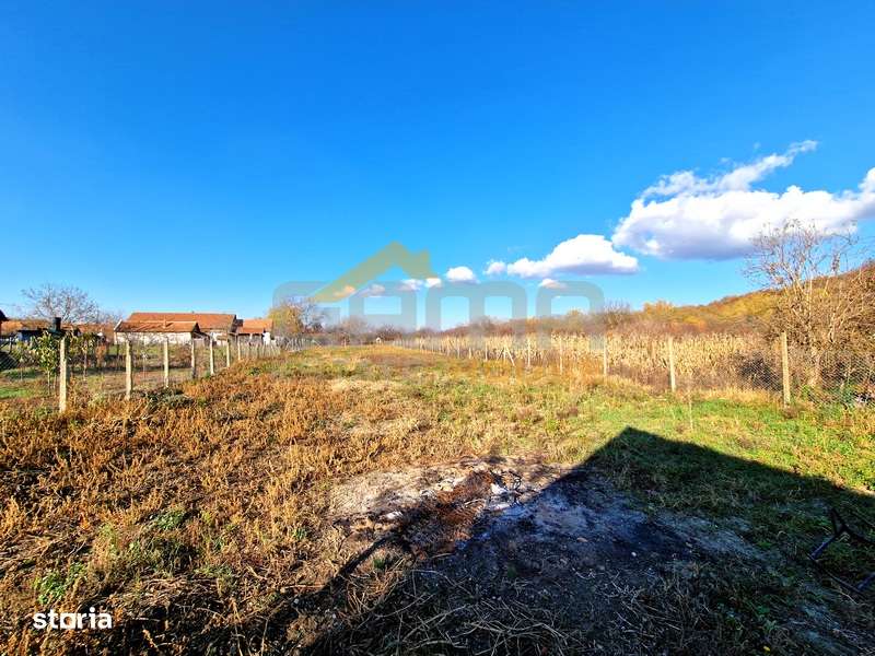 Casa de vacanta in Comuna Taut, Arad - Imagine principală: 5/10