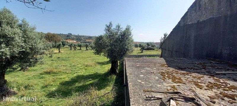 Aluga-se ou vende-se Terreno / Armazém - Grande imagem: 5/10