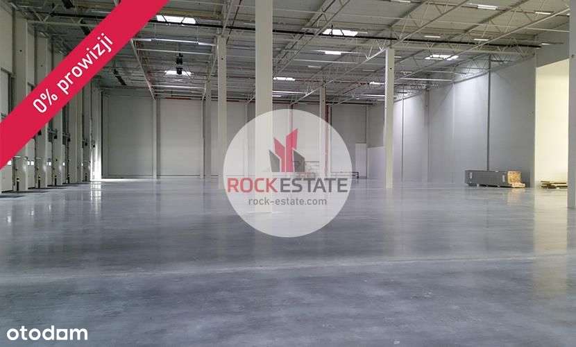 Magazyn na wynajem 7200 m2 Wrocław /Lotnisko k. A8 - Pełny obrazek: 4/8