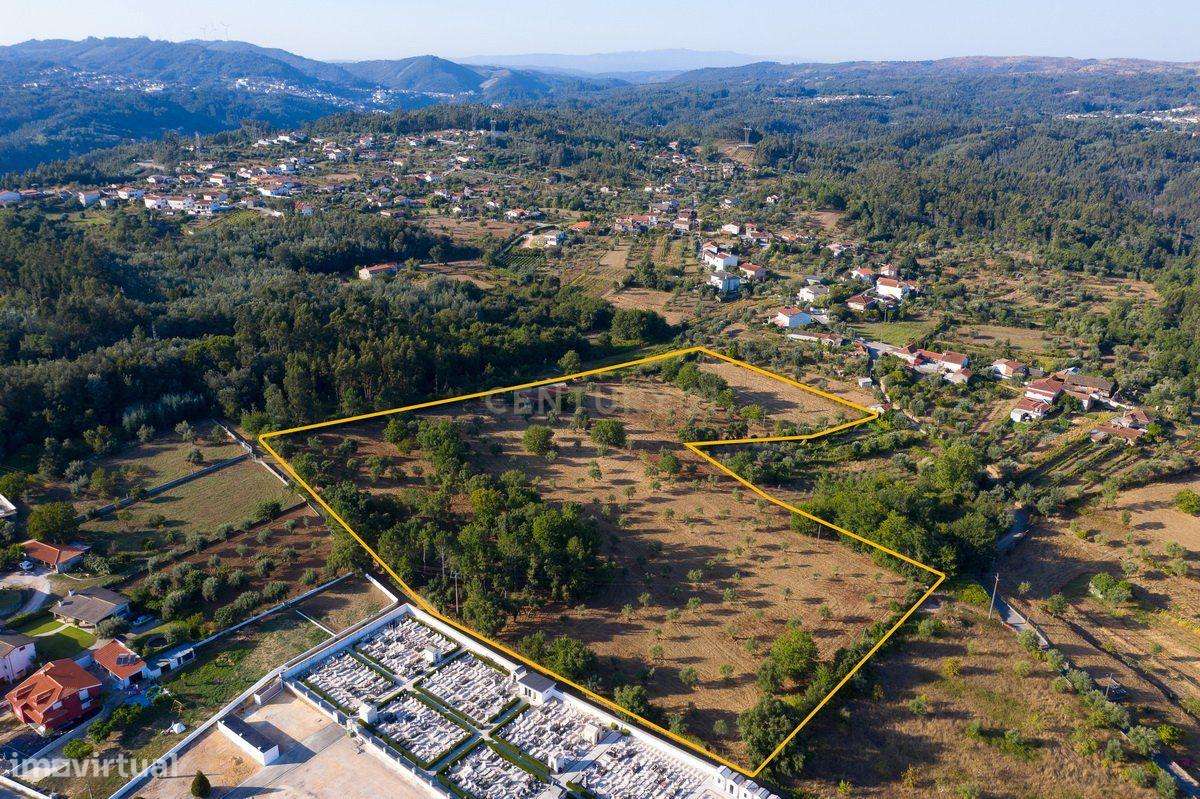 Quinta da Mata, quinta com poço em local de grande tranquilidade -Arri - Grande imagem: 4/15