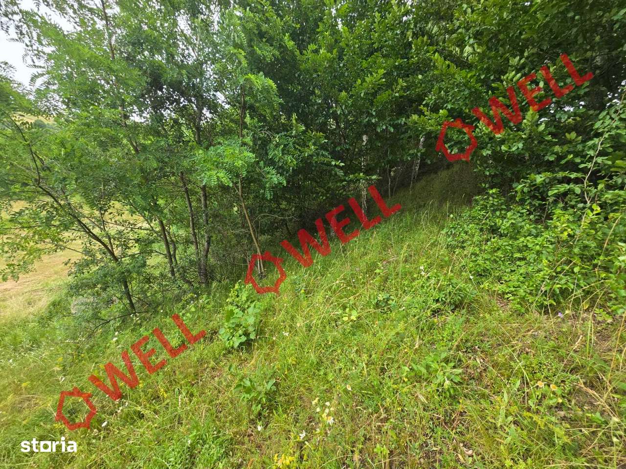 De vânzare teren extravilan loc. Sărămaș! - Imagine principală: 4/9