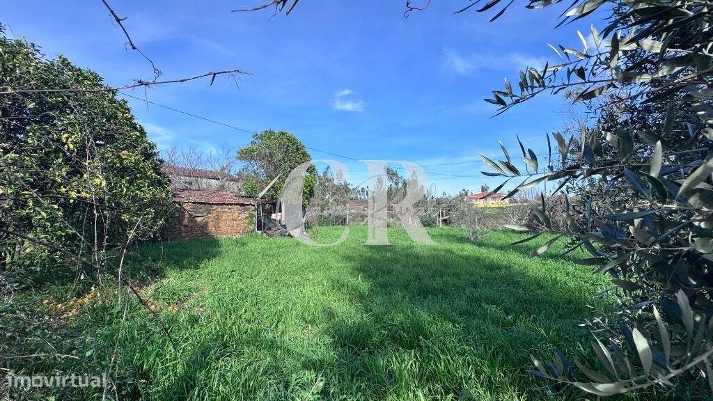 Quinta com casas de pedra para recuperar, poço e furo-29