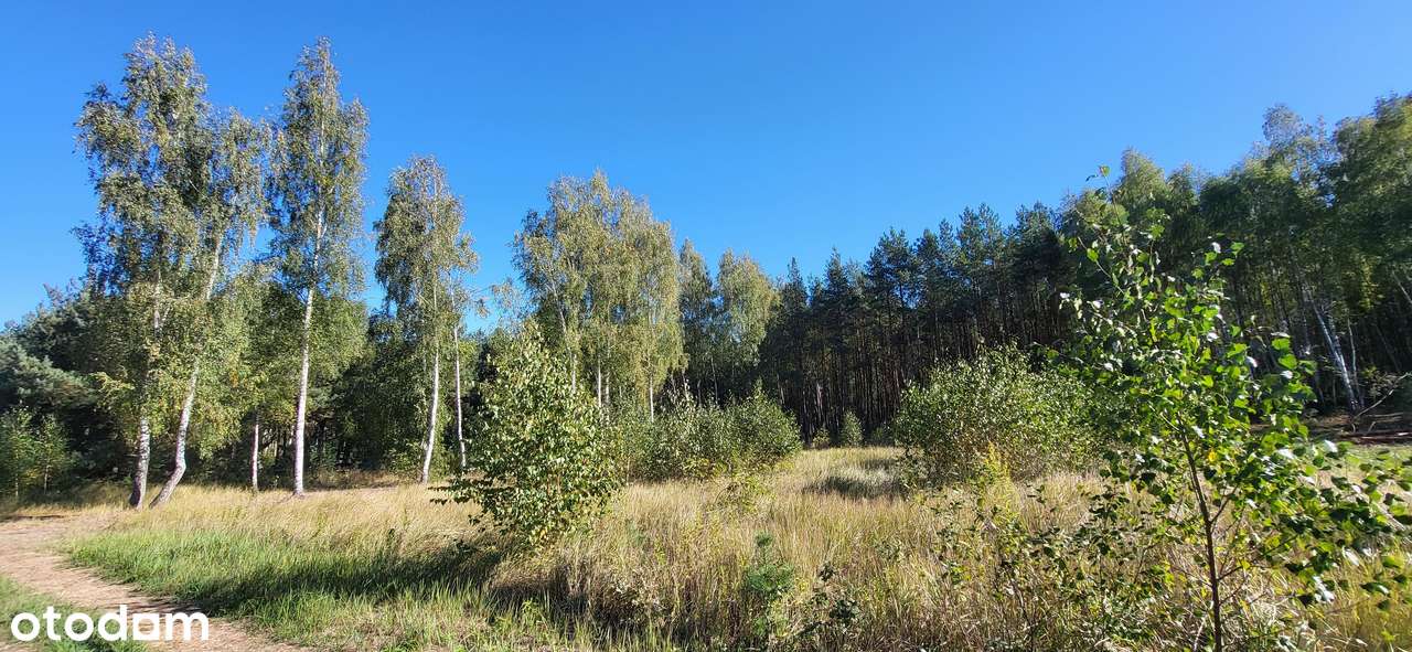 Działki na sprzedaż Ruda , gmina Grudziądz - Pełny obrazek: 5/5