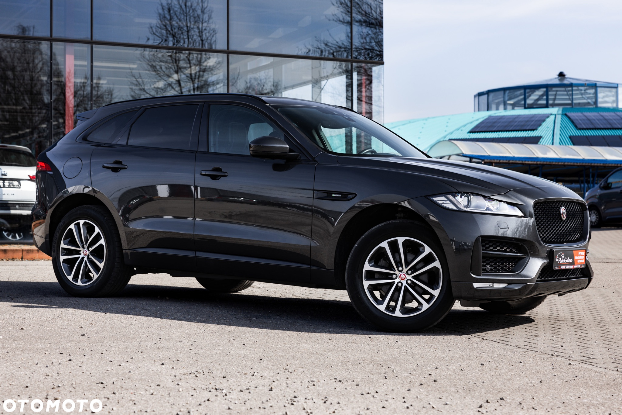 Jaguar F-Pace P250 AWD R-Dynamic SE - 7