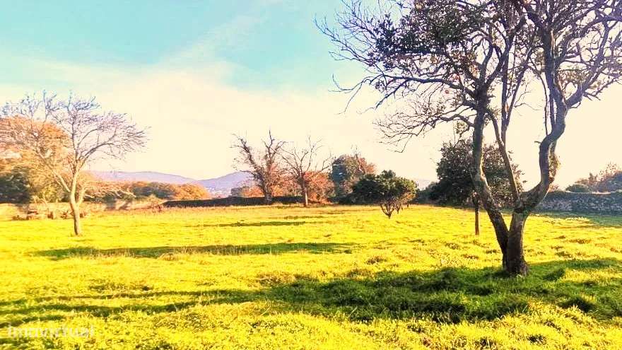 QUINTA EM SANTA MARTA COM 20000 M2 - Grande imagem: 2/18